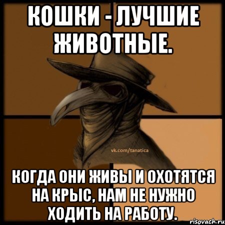 Кошки - лучшие животные. Когда они живы и охотятся на крыс, нам не нужно ходить на работу.