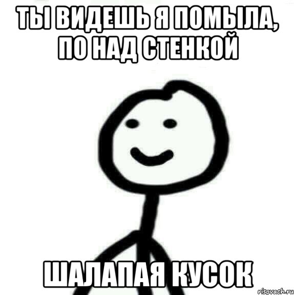 Ты видешь я помыла, по над стенкой Шалапая кусок, Мем Теребонька (Диб Хлебушек)