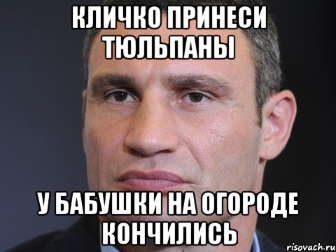 Кличко принеси тюльпаны У бабушки на огороде кончились, Мем Типичный Кличко