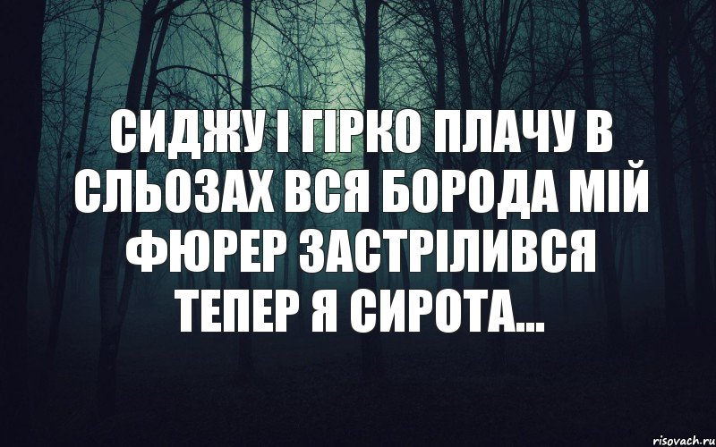 сиджу і гірко плачу в сльозах вся борода Мій Фюрер застрілився тепер я сирота..., Комикс тлен