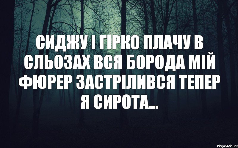 сиджу і гірко плачу в сльозах вся борода Мій Фюрер застрілився тепер я сирота..., Комикс тлен