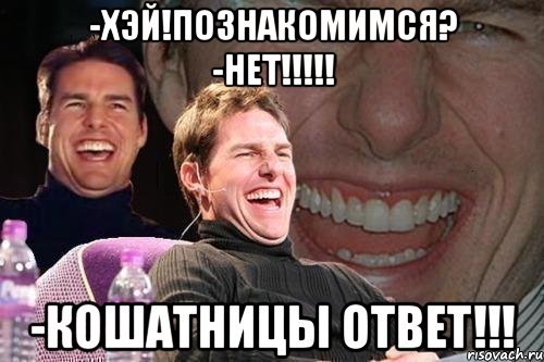 -Хэй!Познакомимся? -НЕТ!!!!! -Кошатницы ответ!!!, Мем том круз