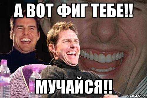 А вот фиг тебе!! мучайся!!, Мем том круз