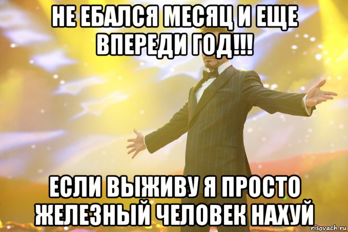 не ебался месяц и еще впереди год!!! если выживу я просто железный человек нахуй, Мем Тони Старк (Роберт Дауни младший)