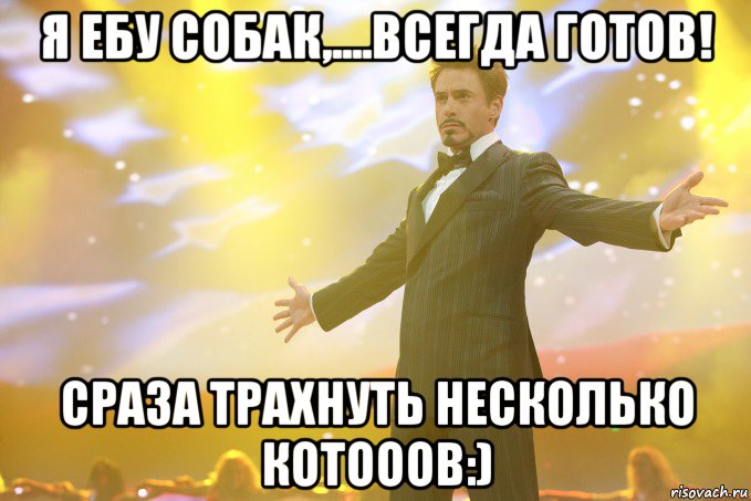 я ебу собак,....всегда готов! сраза трахнуть несколько котооов:), Мем Тони Старк (Роберт Дауни младший)