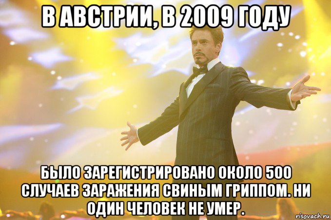 В Австрии, в 2009 году было зарегистрировано около 500 случаев заражения свиным гриппом. Ни один человек не умер., Мем Тони Старк (Роберт Дауни младший)