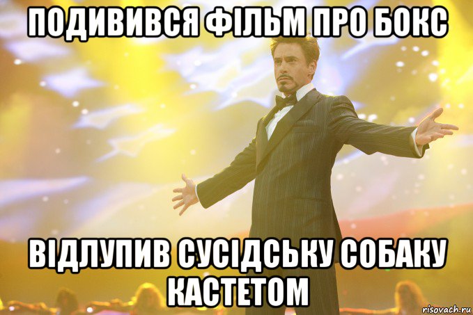 подивився фільм про бокс відлупив сусідську собаку кастетом, Мем Тони Старк (Роберт Дауни младший)