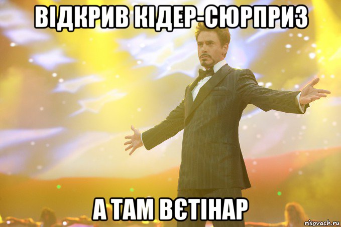 відкрив кідер-сюрприз а там вєтінар, Мем Тони Старк (Роберт Дауни младший)