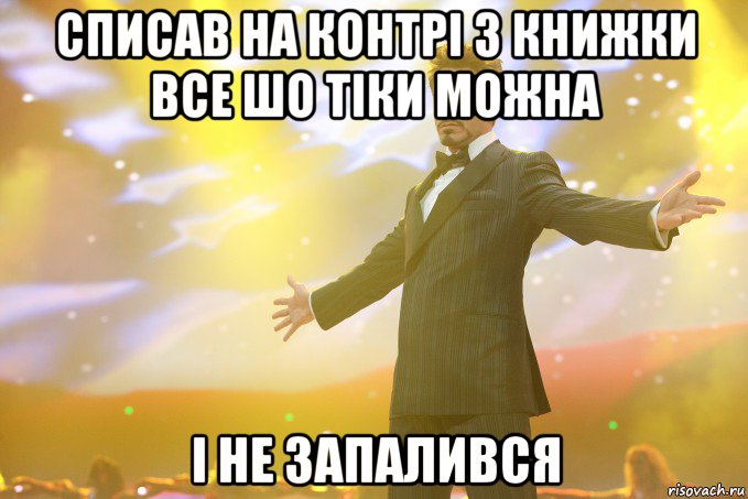 Списав на контрі з книжки все шо тіки можна І не запалився, Мем Тони Старк (Роберт Дауни младший)