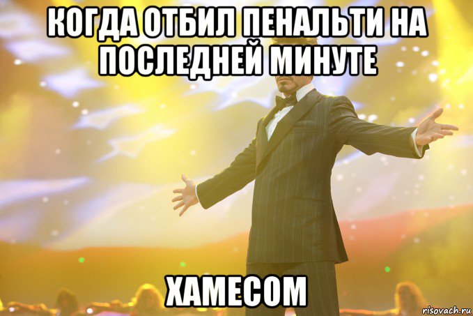 Когда отбил пенальти на последней минуте ХАМЕСОМ, Мем Тони Старк (Роберт Дауни младший)