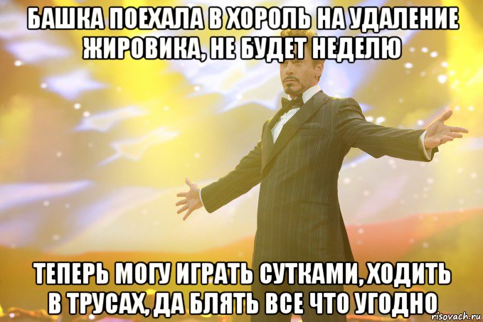 Башка поехала в хороль на удаление жировика, не будет неделю Теперь могу играть сутками, ходить в трусах, да блять все что угодно, Мем Тони Старк (Роберт Дауни младший)