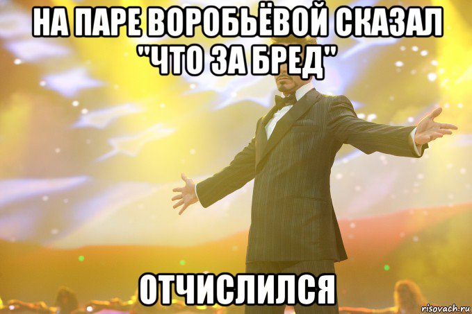 На паре Воробьёвой сказал "что за бред" Отчислился, Мем Тони Старк (Роберт Дауни младший)