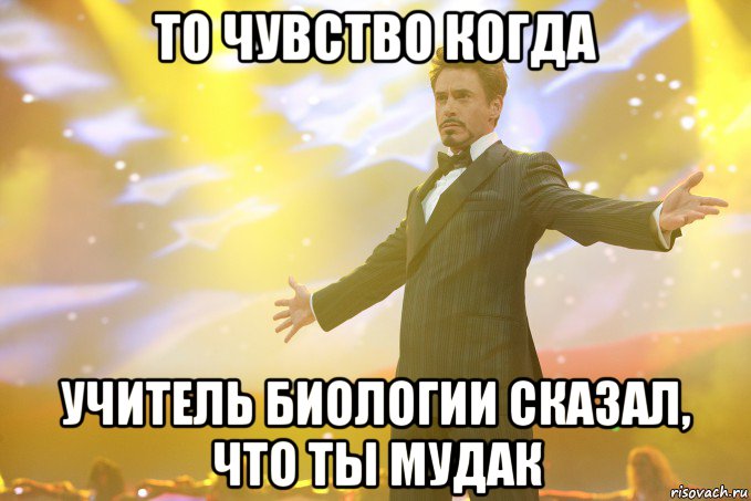 То чувство когда учитель биологии сказал, что ты мудак, Мем Тони Старк (Роберт Дауни младший)