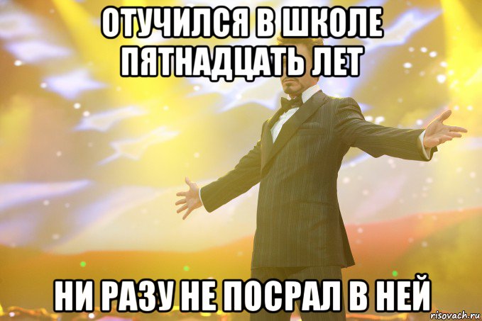 отучился в школе пятнадцать лет ни разу не посрал в ней, Мем Тони Старк (Роберт Дауни младший)