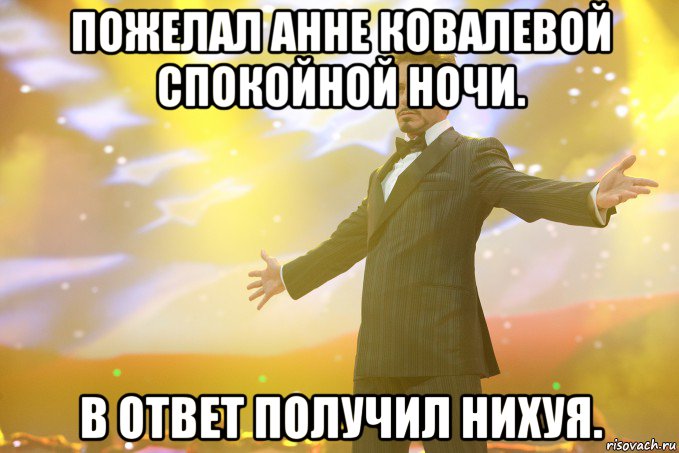 Пожелал Анне Ковалевой спокойной ночи. В ответ получил нихуя., Мем Тони Старк (Роберт Дауни младший)