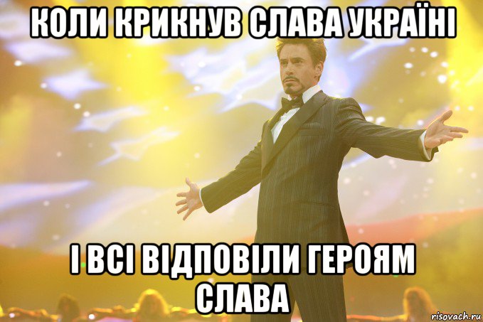 Коли крикнув Слава Україні І всі відповіли Героям Слава, Мем Тони Старк (Роберт Дауни младший)