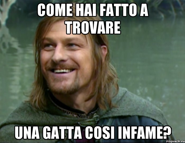 Come hai fatto a trovare Una gatta cosi infame?, Мем Тролль Боромир