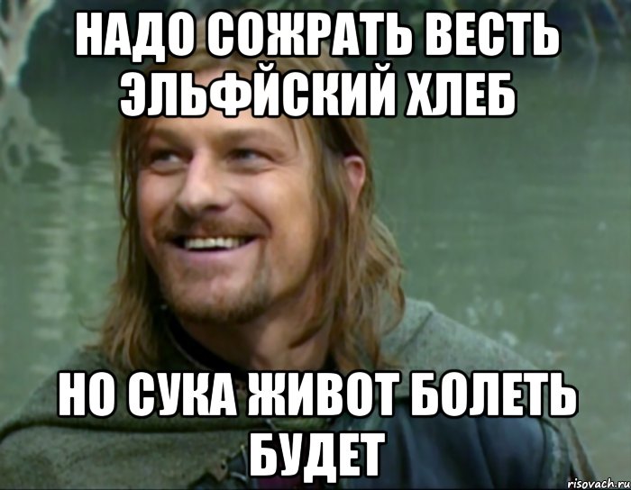 надо сожрать весть эльфйский хлеб но сука живот болеть будет, Мем Тролль Боромир