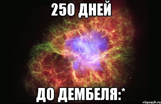 250 дней до дембеля:*, Мем Туманность