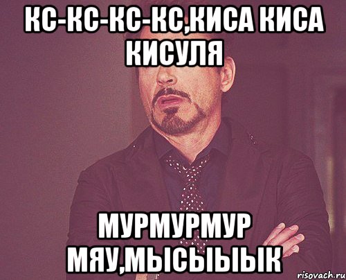 кс-кс-кс-кс,киса киса кисуля мурмурмур мяу,мысыыык, Мем твое выражение лица