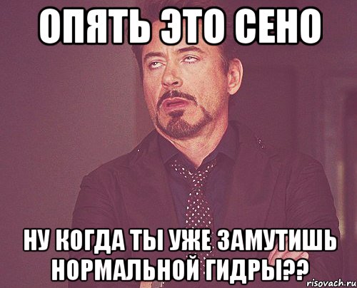 опять это сено ну когда ты уже замутишь нормальной гидры??, Мем твое выражение лица