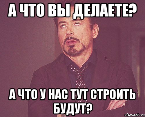 А что вы делаете? А что у нас тут строить будут?, Мем твое выражение лица