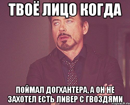 Твоё лицо когда Поймал догхантера, а он не захотел есть ливер с гвоздями, Мем твое выражение лица