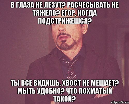 В глаза не лезут? расчесывать не тяжело? Егор, когда подстрижешся? Ты все видишь, хвост не мешает? мыть удобно? что лохматый такой?, Мем твое выражение лица