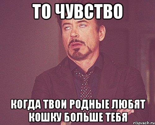 то чувство когда твои родные любят кошку больше тебя, Мем твое выражение лица