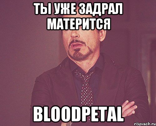 Ты уже задрал матерится Bloodpetal, Мем твое выражение лица