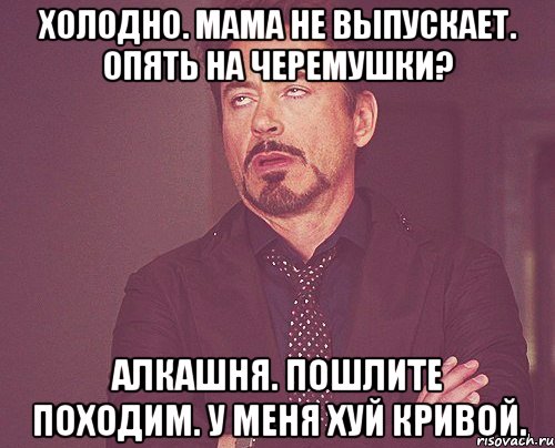 Холодно. Мама не выпускает. Опять на Черемушки? Алкашня. Пошлите походим. У меня хуй кривой., Мем твое выражение лица