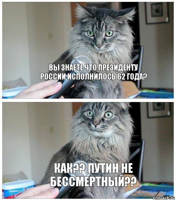 Вы знаете что президенту России исполнилось 62 года? Как?? Путин не бессмертный??, Комикс  кот с микрофоном