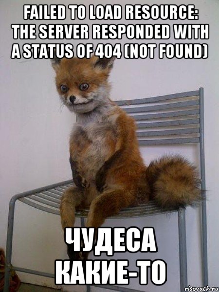 Failed to load resource: the server responded with a status of 404 (Not Found) Чудеса какие-то, Мем Упоротая лиса