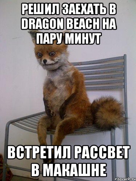 решил заехать в Dragon Beach на пару минут встретил рассвет в макашне, Мем Упоротая лиса