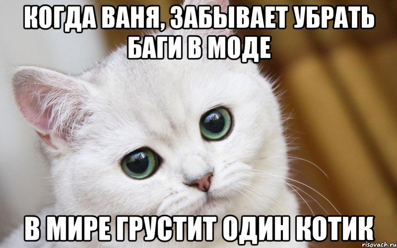 Когда Ваня, забывает убрать баги в моде В мире грустит один котик, Мем  В мире грустит один котик