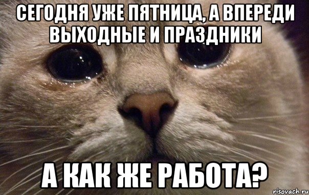 Сегодня уже пятница, а впереди выходные и праздники а как же работа?, Мем   В мире грустит один котик