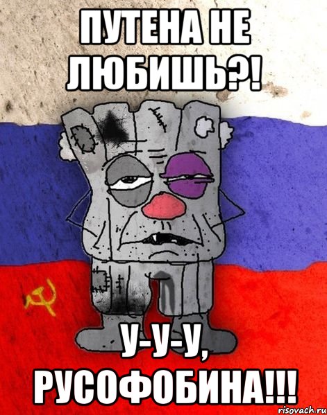 Путена не любишь?! У-у-у, русофобина!!!, Мем Ватник