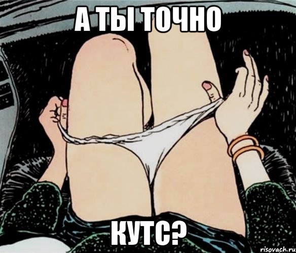 а ты точно кутс?, Мем А ты точно