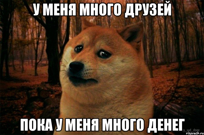 у меня много друзей пока у меня много денег, Мем SAD DOGE