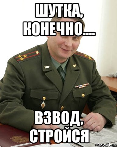 Шутка, конечно.... ВЗВОД, СТРОЙСЯ, Мем Военком (полковник)