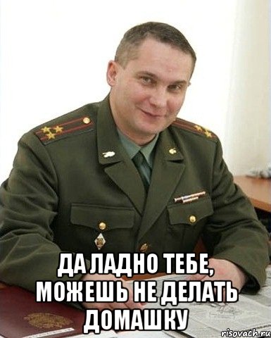  Да ладно тебе, можешь не делать домашку, Мем Военком (полковник)