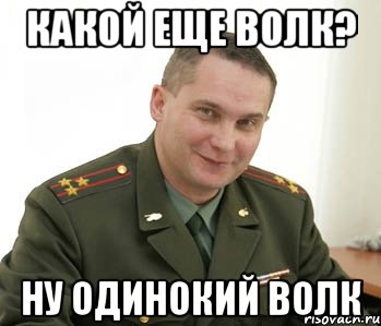 Какой еще Волк? Ну одинокий волк, Мем Военком (полковник)