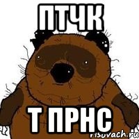 птчк т прнс