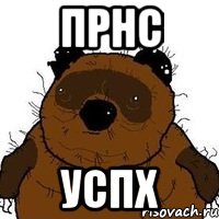 прнс успх