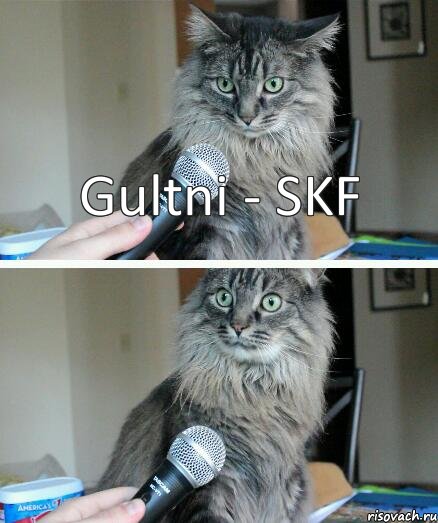 Gultni - SKF, Комикс  кот с микрофоном