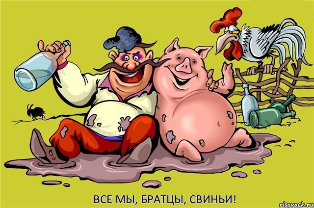 Все мы, братцы, свиньи!, Комикс Все мы братцы свиньи