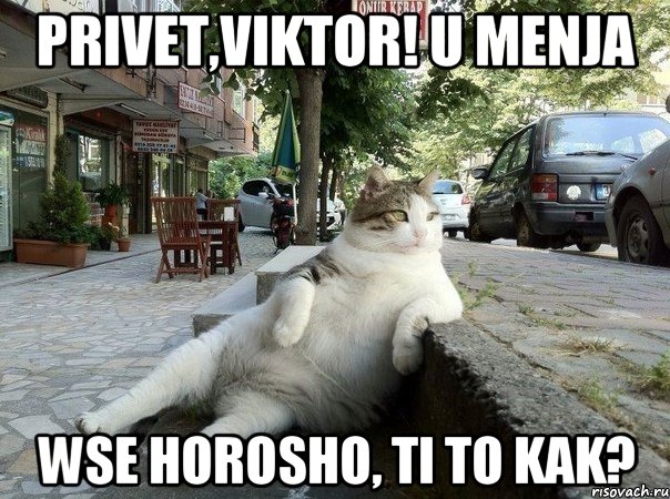 Privet,Viktor! u menja wse horosho, ti to kak?, Мем   Все пофиг