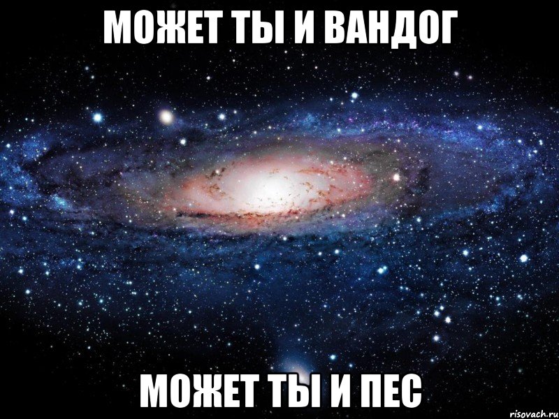 может ты и вандог может ты и пес, Мем Вселенная