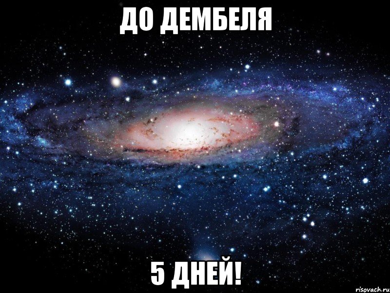 До дембеля 5 дней!, Мем Вселенная