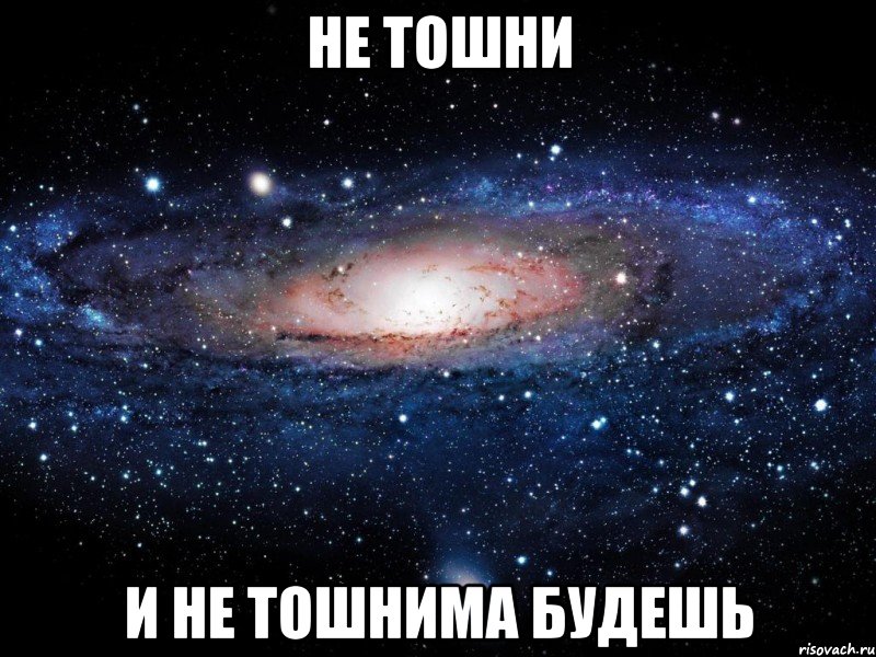 не тошни И НЕ ТОШНИМА БУДЕШЬ, Мем Вселенная